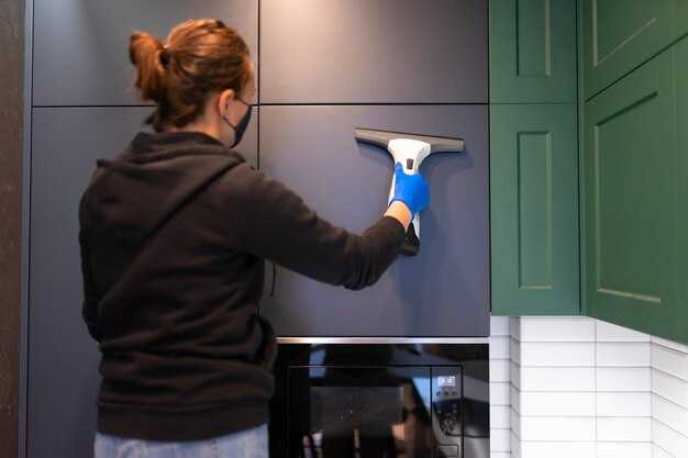 Удаление пыли и загрязнений перед мытьем