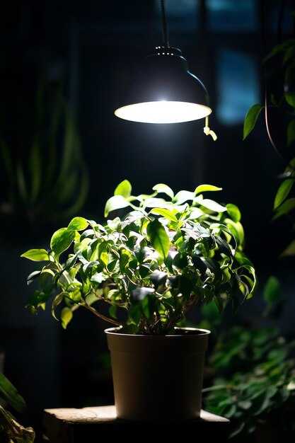 Лампочки на основе люминесцентной технологии