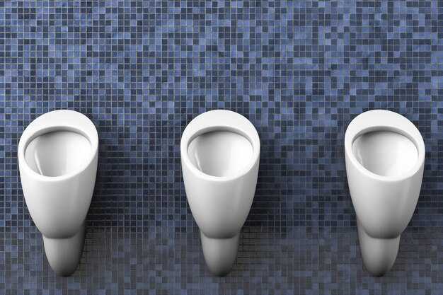 Напольные унитазы: преимущества и недостатки